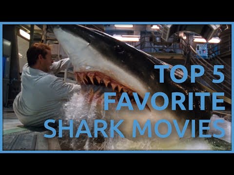 top-5-favorite-shark-movies-of-all-time