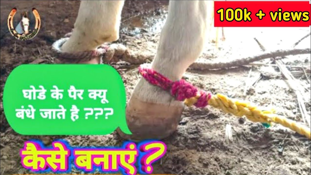 Ghode ki pichhadi kese banaye? || घोडे के पैर क्यू बंधे जाते है ?