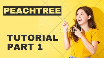 Peachtree tutorial in Amharic part 1