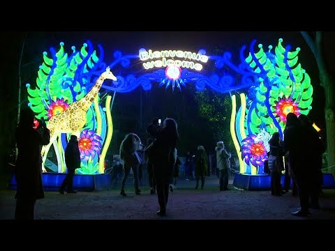 euronews grecia Polar bears mingle with pandas and elephants in Paris light show