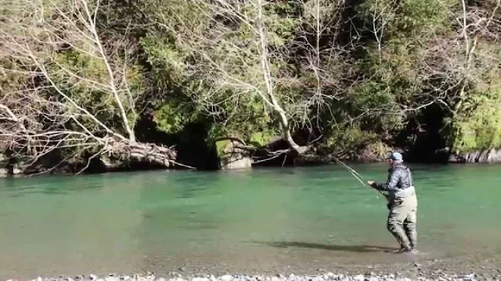 Swing North-Fly Fishing Winter Steelhead-Califo......