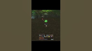 Lineage 2 EU. Samurai Crow Update — New Activities. How to do Color Nymphs Event.