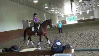 2014 Michigan EDAP Clinic with Lendon Gray - Day Two