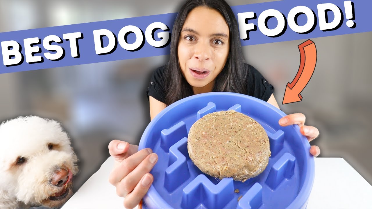 WHAT I FEED MY DOG 👉 (Plus kibble topper ideas!) YouTube