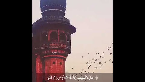 "في بيوت أذن الله أن ترفع ويذكر فيها اسمه..." بصوت القارئ رعد الكردي/حالات واتس اب