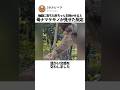 地面に落ちた赤ちゃんを抱かせると母ナマケモノが見せた反応
