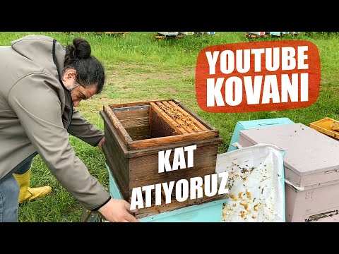 YOUTUBE KOVANIMIZA KAT ATIYORUZ! 2 bölüm