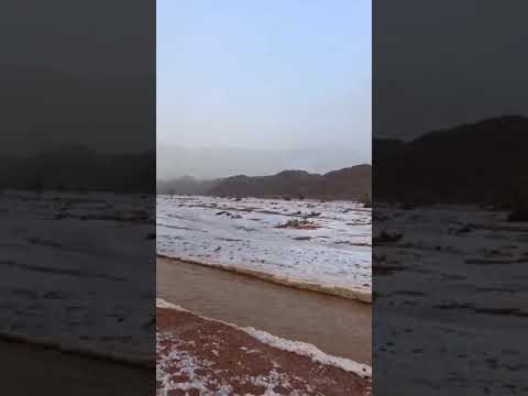 ياناشدن عني تراني شمالي 