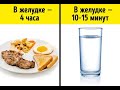 Можно ли пить воду во время еды?