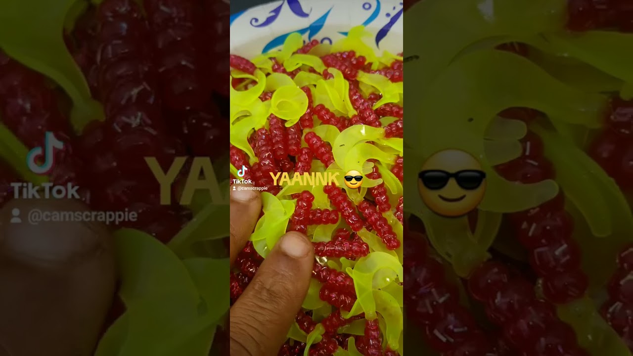 💥Ready to ship today store  https   cams crappie hole myshopify💥