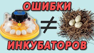 ШКОЛА ИНКУБАТОРОСТРОЕНИЯ №16 | Ваши ошибки в самодельных ИНКУБАТОРАХ для яиц. Продолжение...