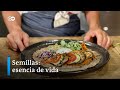 Crepes con ratatouille y germinados