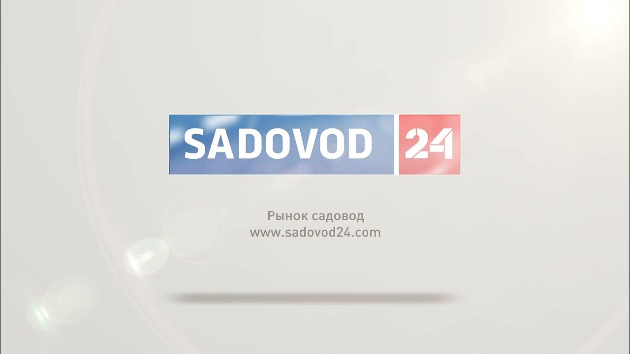Рынок садовод график работы в новогодние До скольких садовод: найдено 84 картинок