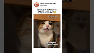 Yawning Is Contagious. Did You Yawn Too?