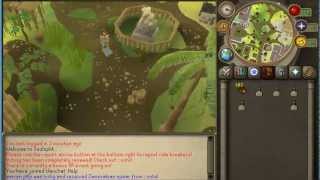SoulSplit [RSPS] Money Making Guide #1 2013