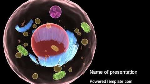 Cell Structure PowerPoint Template by PoweredTemplate.com