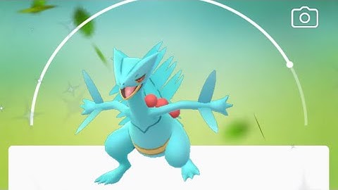 Shiny Treecko Evolution