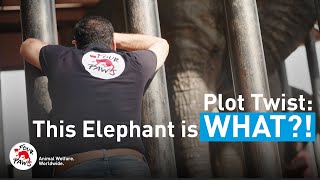 You ll Never Guess What These Vets Discovered