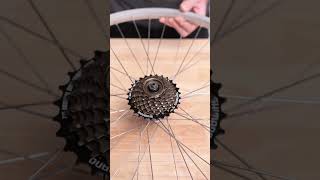 Freehub or Freewheel? How To Tell The Difference