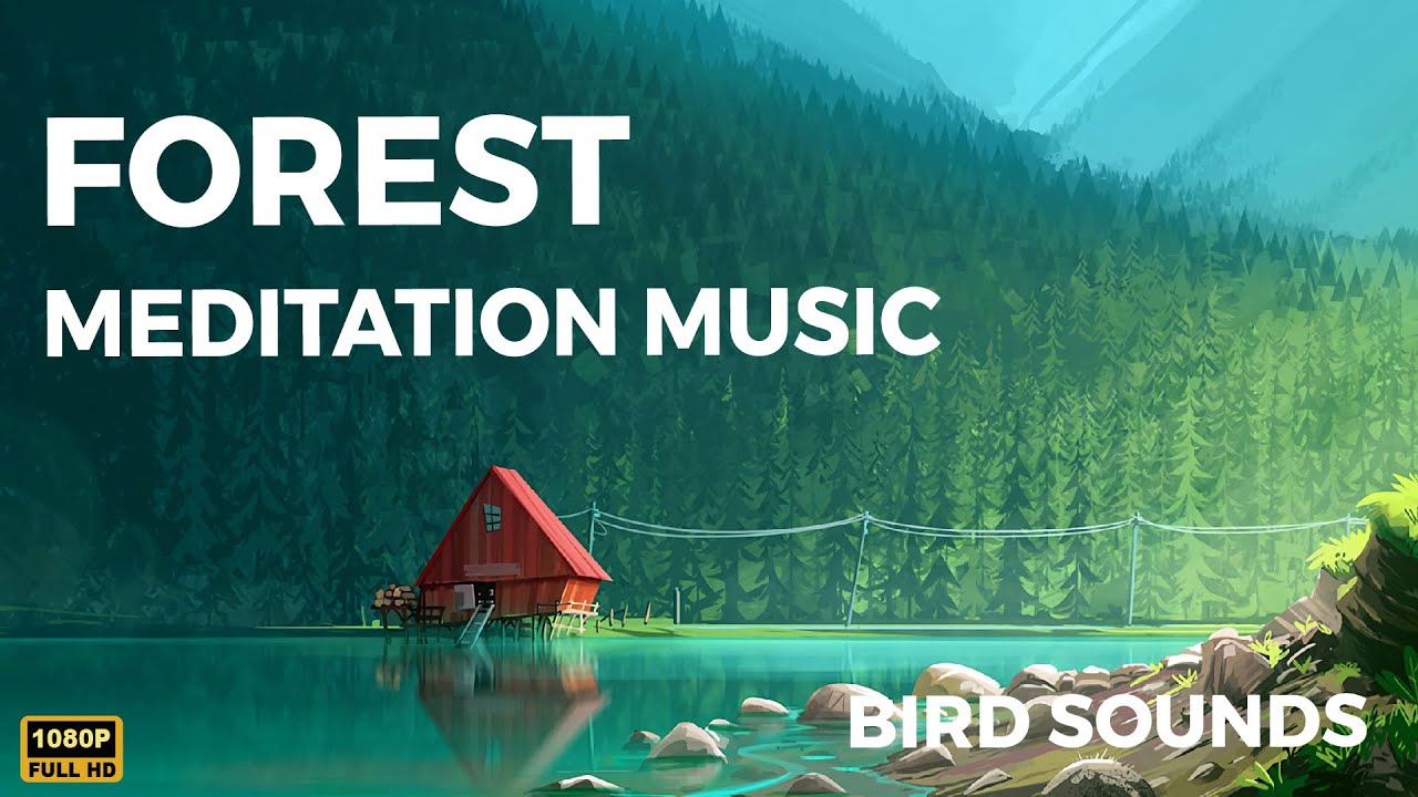 Relaxing Nature sounds | Bird sounds with Forest Meditation Music ...