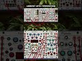 AMBIENT WITH TERRORFORM #vcvrack