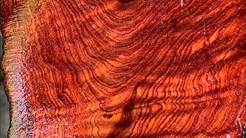 GL gốc cẩm chỉ krôngpa chun sụn 58kg kt trong vd bác nào vào vc lh 0338918991 thương gỗ quý