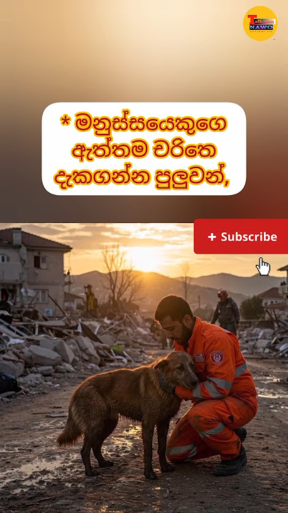 සත්තකින්ම❤ 🫵#viral #motivation #shortsviral #education #viralvideos #facts #sinhalafacts