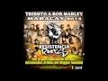 1 trenchtown rock   cramos   tributo a bob marley 2014 resistencia roots