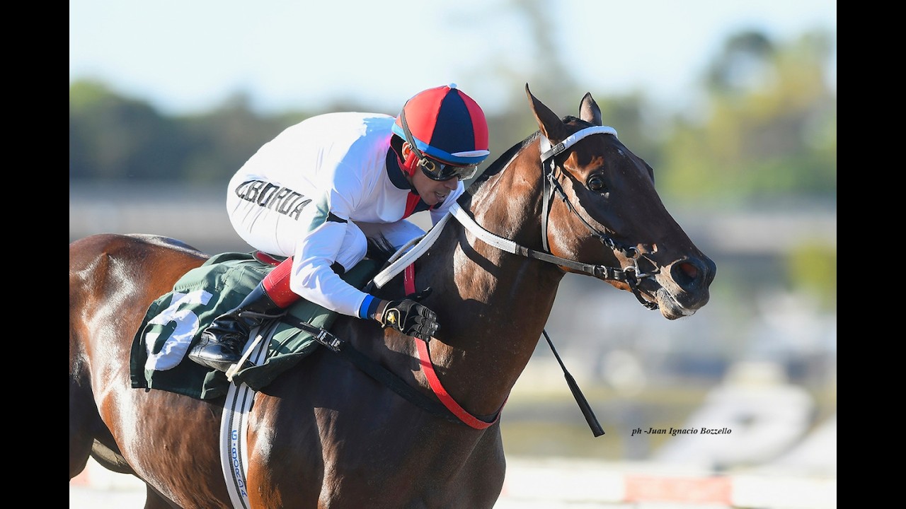 Clasico Santiago Luro (G2) 2026 - Muy Macho Win (Gershwin)