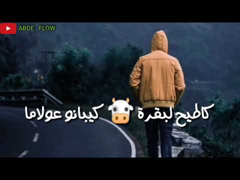 Ferda Halowene 2 Statut Watsap