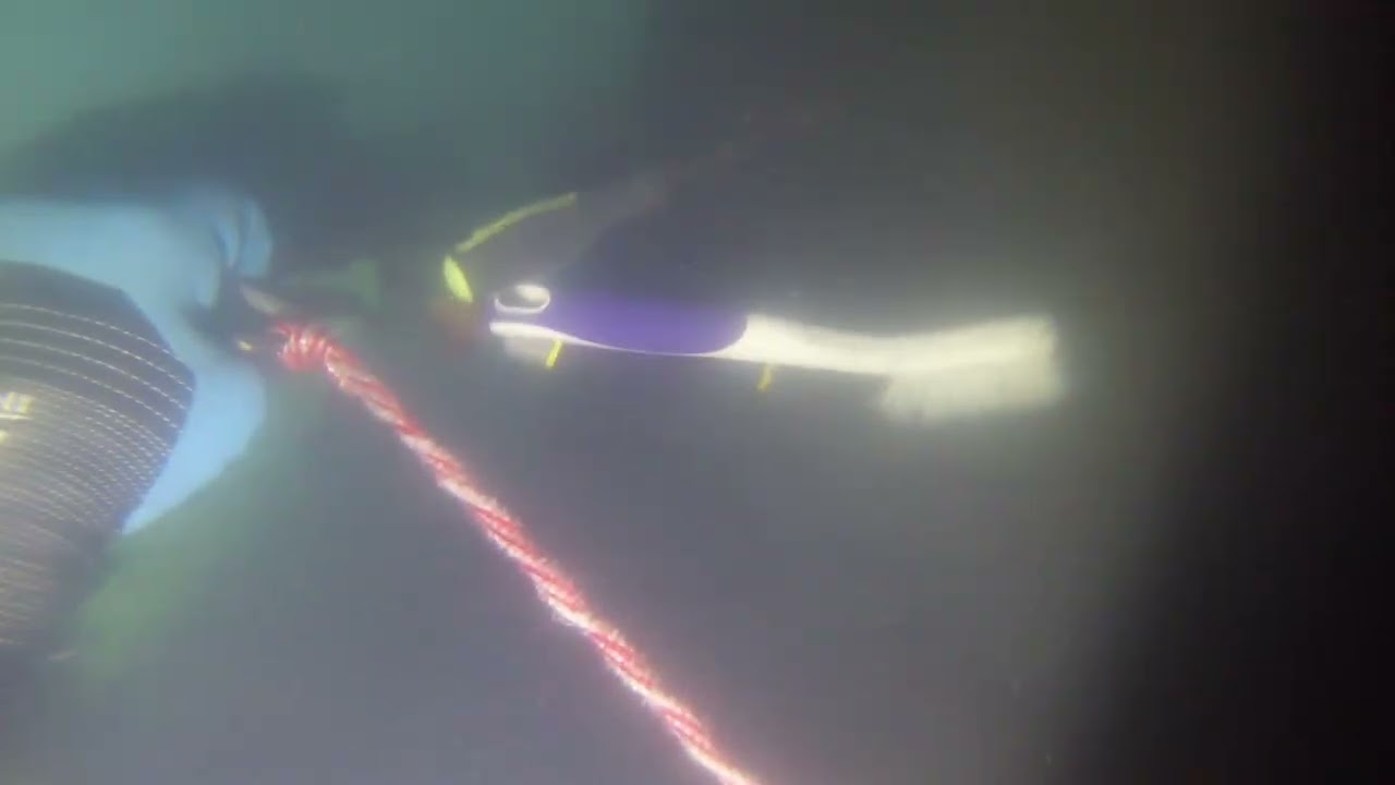 Bubba 36' Willard Motor Yacht 3 7 26 After Hull Cleaning