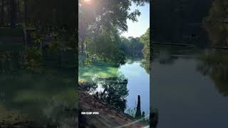 Captivating Spring near Gainesville Florida - Rum Island Spring County Park #kayakingadventures Net Worth