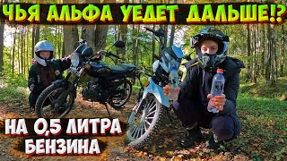 ЧЬЯ АЛЬФА УЕДЕТ ДАЛЬШЕ НА 0,5 ЛИТРА БЕНЗИНА!?