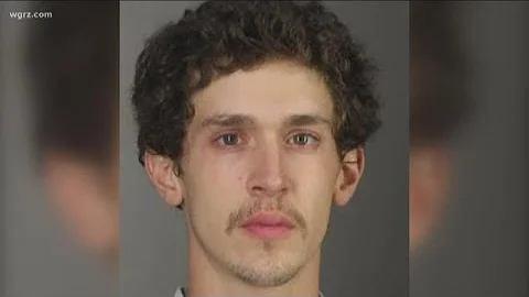 Guilty Plea By Man Who Beat Dog To Death