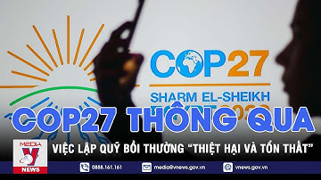 COP27 thông qua việc lập quỹ bồi thường “thiệt hại và tổn thất” - VNEWS