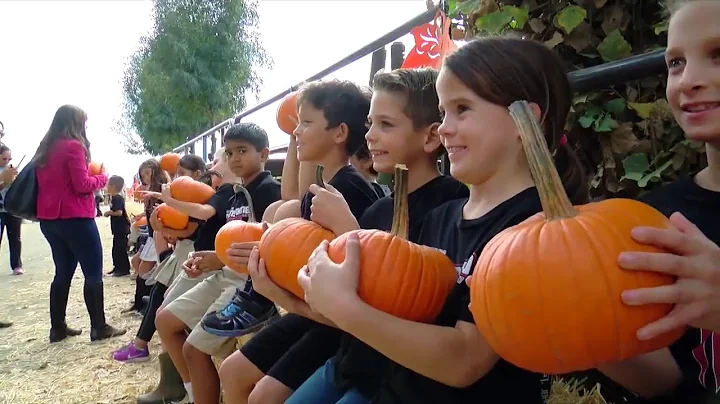 Made in Kern County: Banducci Family Pumpkin Patch