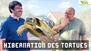 L'hibernation des tortues terrestres Ft. Jérome Maran président du refuge des tortues