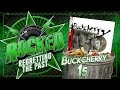 Buckcherry – 15 | Regretting The Past | Rocked