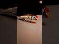 Amegari Urpekari 220 The Best Diving Popper For GTs Amazing Action And Unique Decors Lure 