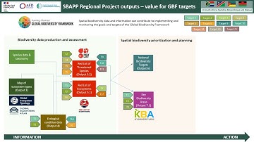 SBAPP value animation