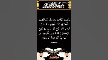سورة البقرة من الآية 240 الى 242 بصوت الشيخ فارس عباد برواية حفص #القرآن_الكريم #اكسبلور #المصحف