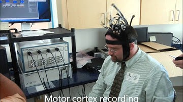 3D source localization & Optical Recording, FIU, CATE Center, Dr. Malek Adjouadi