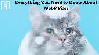 Everything You Need to Know About WebP Files