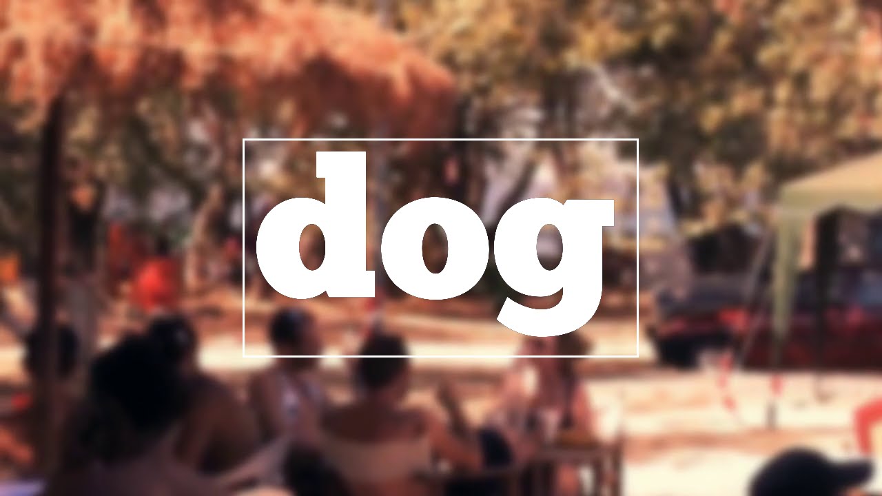 How To Spell Dog YouTube
