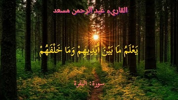 "خشوع يبكي القلوب | تلاوة مؤثرة من سورة البقرة بصوت عبد الرحمن مسعد"