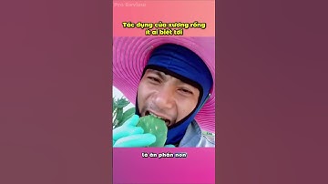 Tác dụng của xương rồng mà ít người biết tới