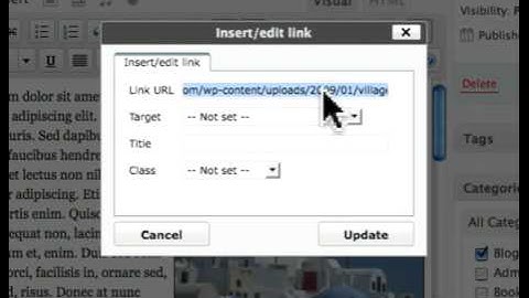 Creating a link using images in WordPress posts or pages