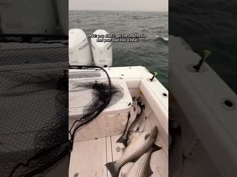 4 Fish at a Time