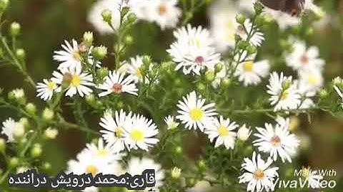 سورة الفاتحه بصوت القاري:محمد درويش دراننده خلوري