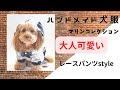 ハンドメイド犬服】大人可愛いロンパースを作りました😊 - YouTube